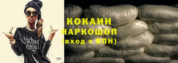 стаф Алзамай