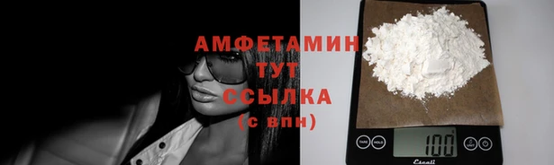 стаф Алзамай
