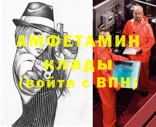 стаф Алзамай