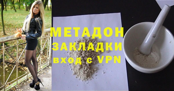 стаф Алзамай