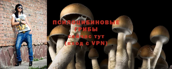 первитин Алексеевка